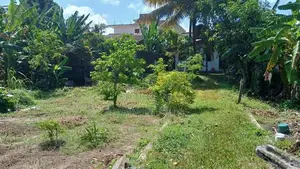 Land for Sale in Walkway Waththa Pepiliyana Kohuwala