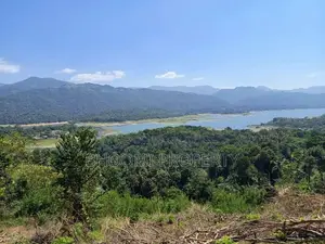 land for sale in digana