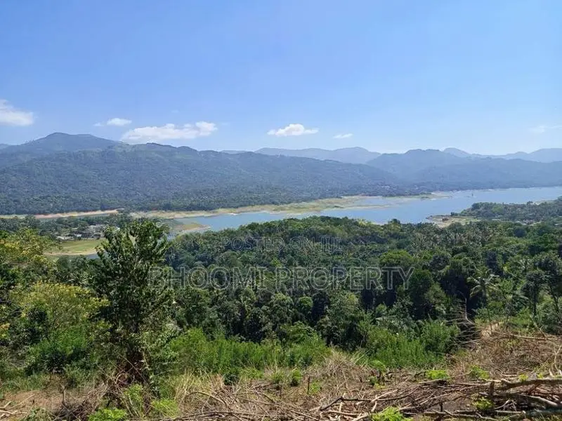 land for sale in digana