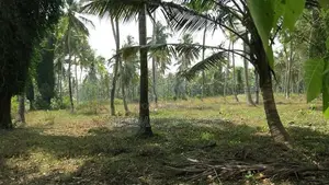 Divulapitiya Minuwang. Negombo bus rd. face Land Sale factory warehous