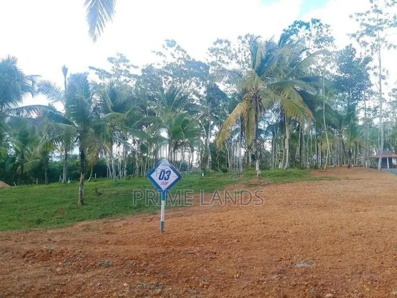 Land for Sale in Ahangama Tourism Area