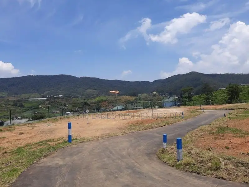 Land for Sale in Nuwaraeliya, Meepilimana