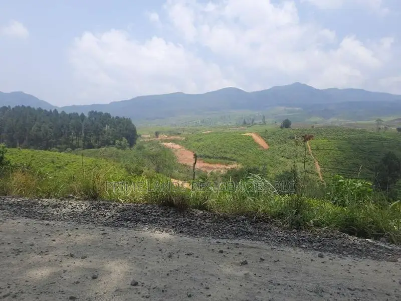 Land for Sale in Ramboda