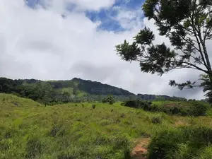 Land for Sale in Delthota