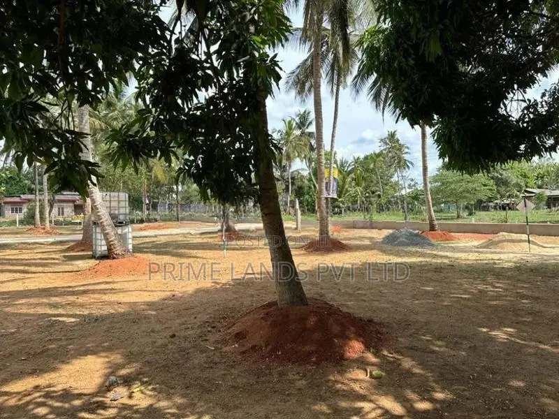 අනුරාධපුර සාලියමාවතෙන් සින්නක්කර බිම්කොටසක්