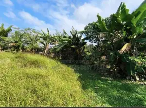 KATUNAYAKE : 2040 SQFT (72.8P) WAREHOUSE WITH BARE LAND FOR SALE