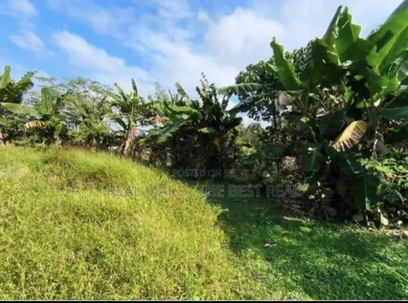 KATUNAYAKE : 2040 SQFT (72.8P) WAREHOUSE WITH BARE LAND FOR SALE