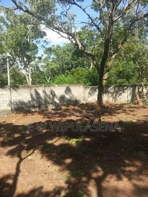 37 PERCH LAND for SALE in HAMBANTOTA
