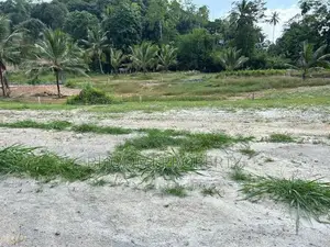 ගාල්ල ජයන්ති හංදියෙන් අගනා බිම් කොටස්