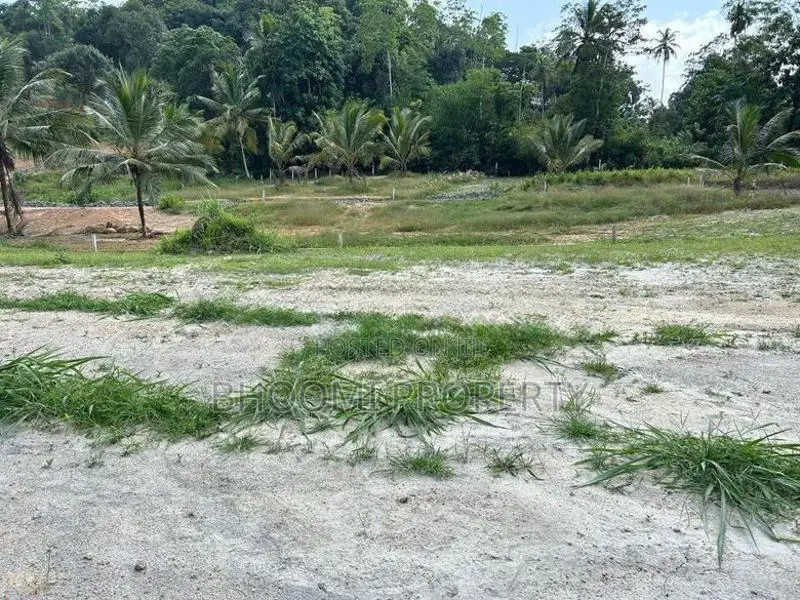 ගාල්ල ජයන්ති හංදියෙන් අගනා බිම් කොටස්