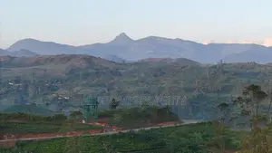 හැටන් වටවල අගනා බිම් කොටස්