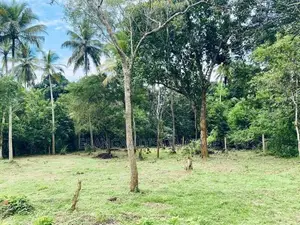 අම්බලන්තොට නගරයට නුදුරින් පර්චස් 31ක අගනා ඉඩමක් විකිණීමට