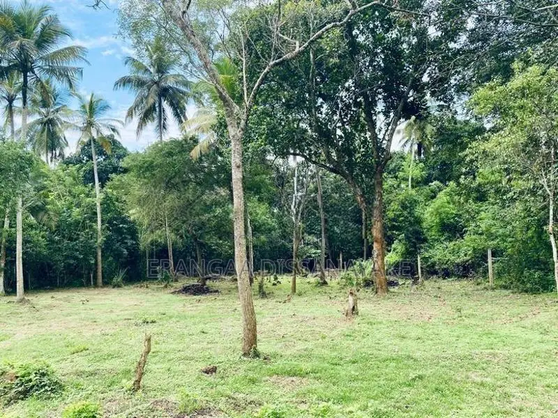 අම්බලන්තොට නගරයට නුදුරින් පර්චස් 31ක අගනා ඉඩමක් විකිණීමට