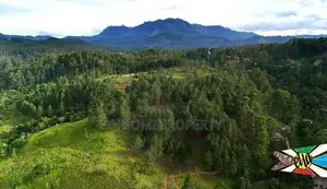 Land for sale in ella