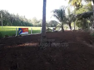 නේවාසික හෝ ව්‍යාපාරික බිම් කොටසක් විකිනීමට අඹගස්වැව