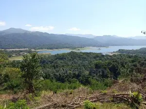 land for sale in digana
