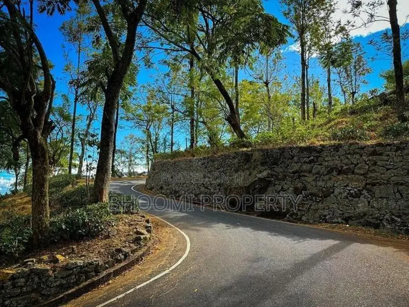 හපුතලෙන් ඉඩමක්