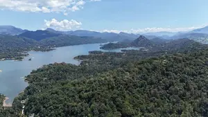 Land for sale in Digana