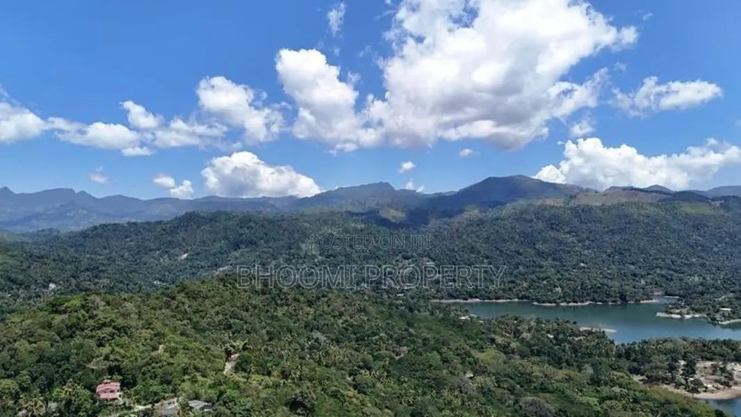 natural Land for sale in Digana