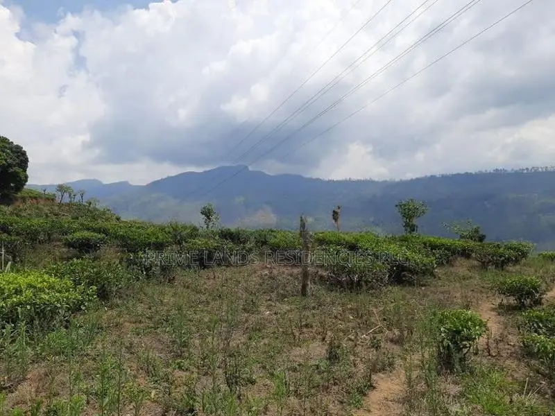 Mountain View Land for Sale in Pundaluoya