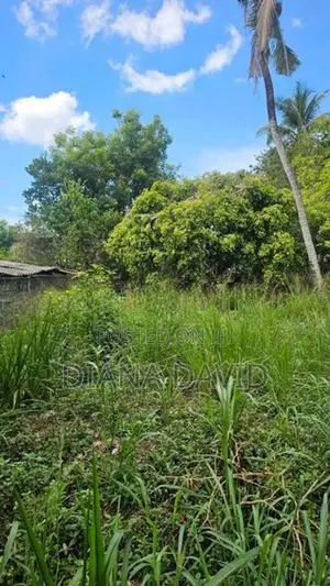 Prime Residential Land for Sale Dehiwala