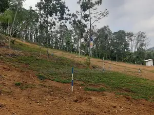 Land for Sale in Nelundeniya