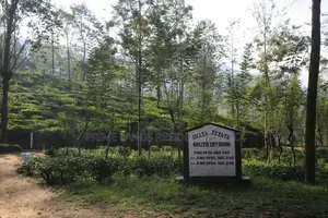 Land for Sale in Pussellawa