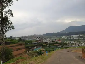 Land for Sale in Nuwaraeliya, Meepilimana