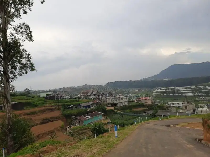Land for Sale in Nuwaraeliya, Meepilimana