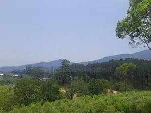 Land for Sale in Ramboda