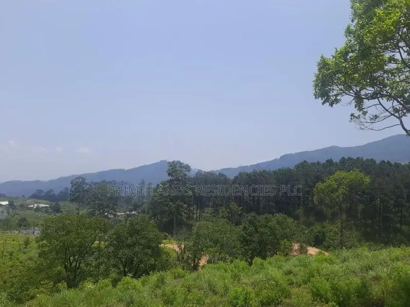 Land for Sale in Ramboda