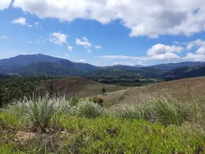 Land for Sale in Delthota