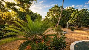 Hotel for Rent In Kalpitiya