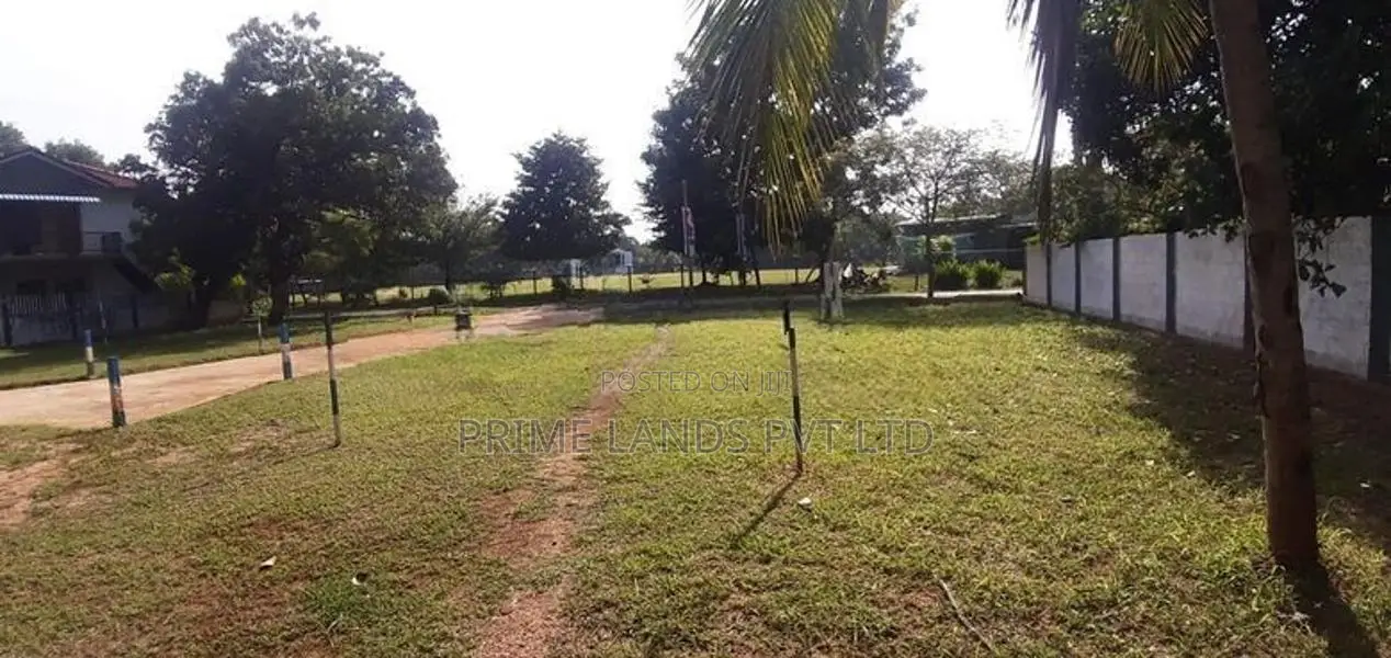 අනුරාධපුර නව නගරයෙන් සින්නක්කර බිම්කොටසක්