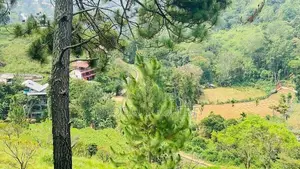 Land for sale in ella