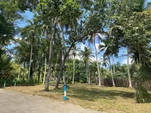 Land in Devalapola