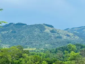 හන්තාන කදු පෙනෙන මානයේ අගනා බිම් කොටස් කිහිපයක්