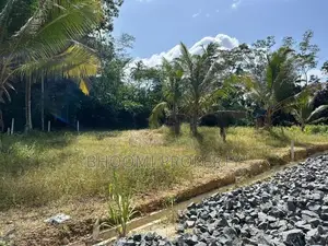 පින්නදූව අදිවේගී පිවිසුමට ලගින්ම බිම් කොටස්