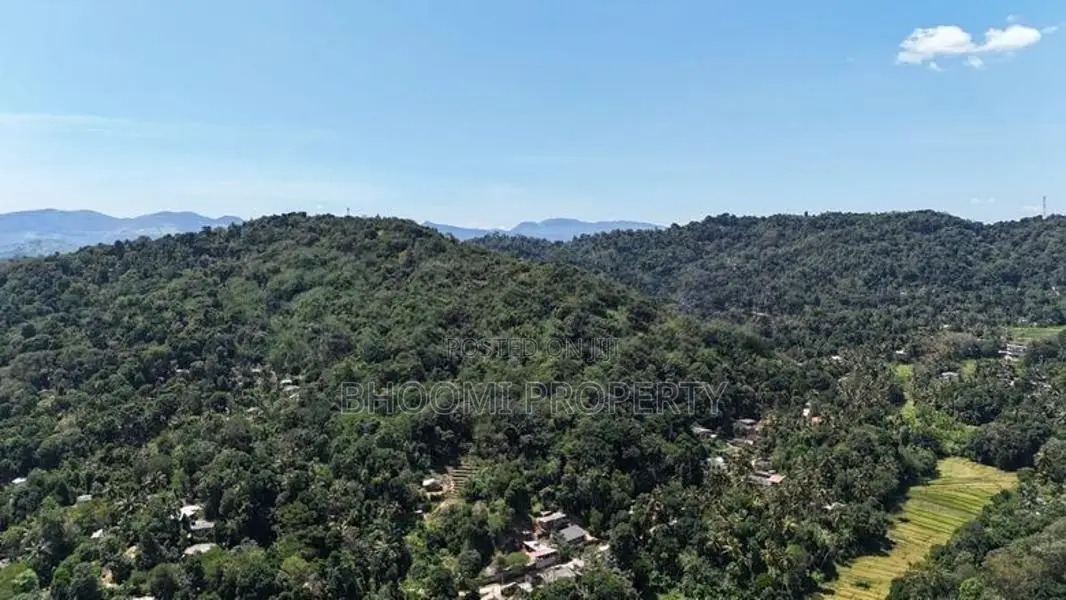 natural Land for sale in Digana