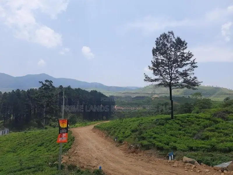 Land for Sale in Ramboda