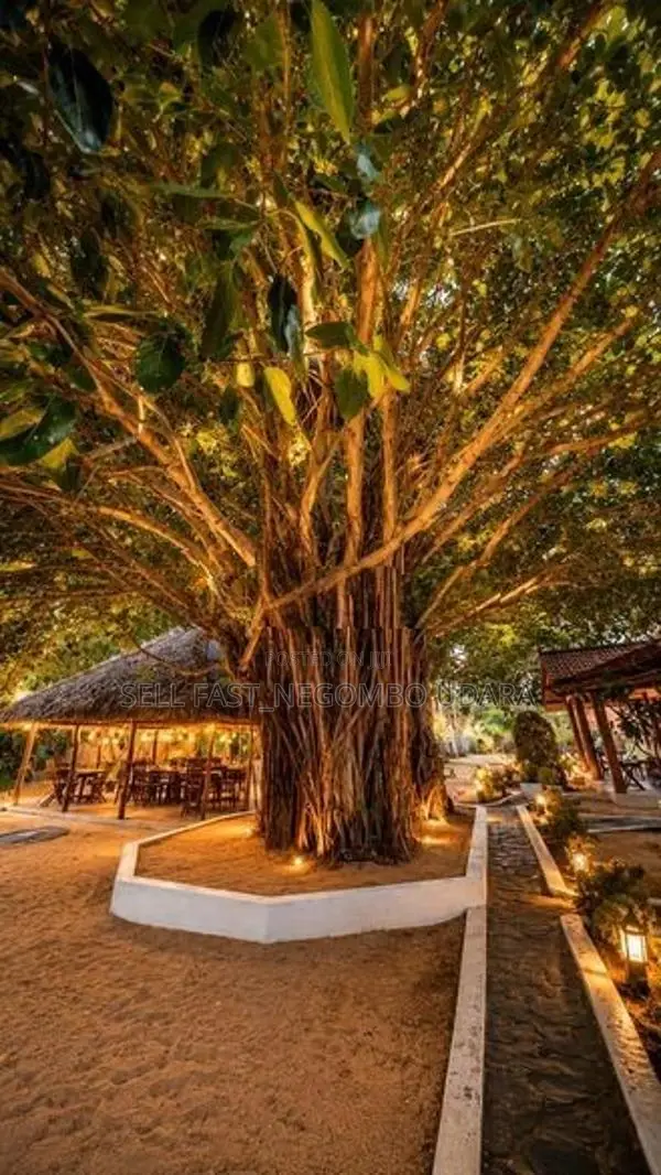Hotel for Rent In Kalpitiya