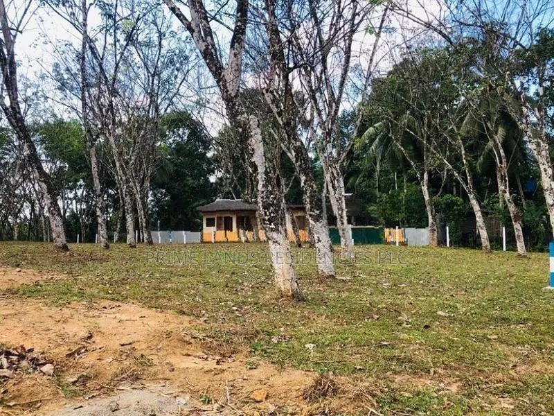 Land for Sale in Horana
