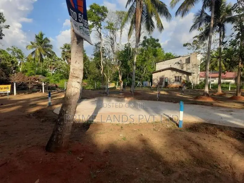 අනුරාධපුර සාලියමාවතෙන් සින්නක්කර බිම්කොටසක්