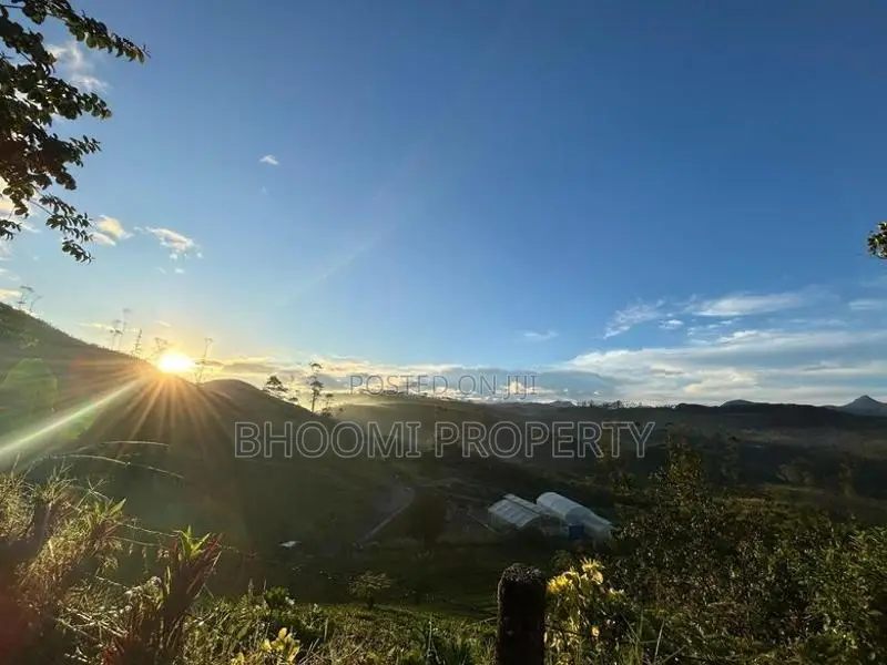 හැටන් නගරයට ලගින්ම බිම් කොටස්