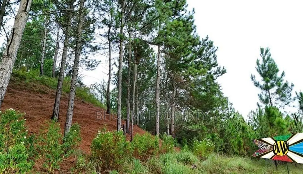 Land for sale in ella