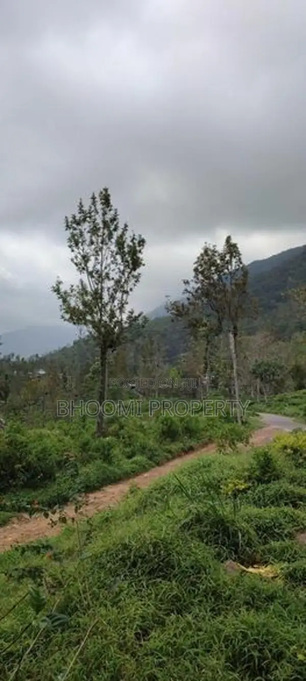 Land for sale in Haputale