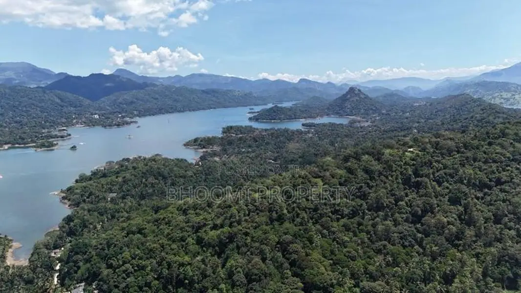 natural Land for sale in Digana