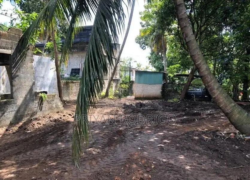 Nugegoda Thalapathpitiya 13.7 Perches of Land for Sale