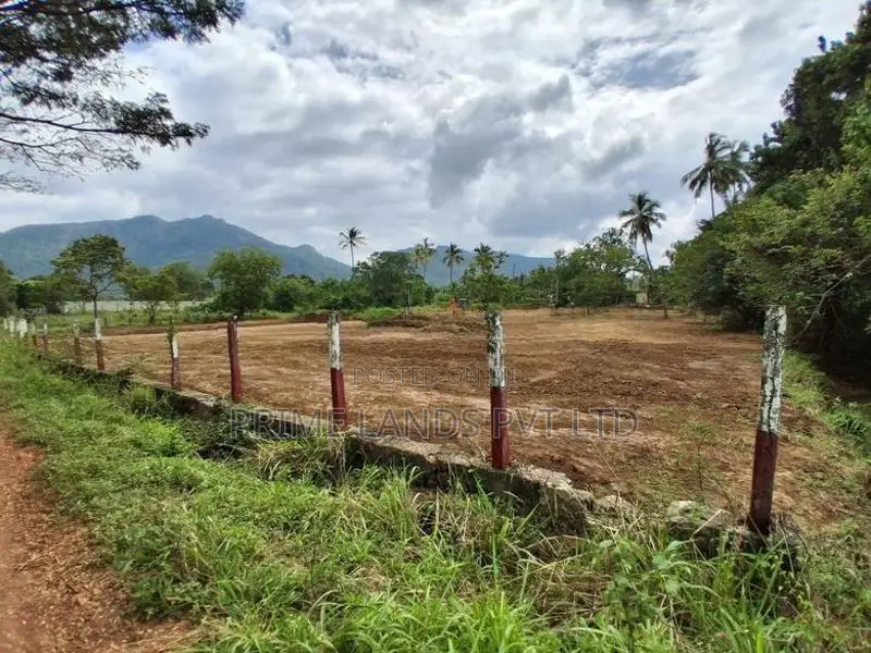 දඹුල්ල නුවර පාරට නුදුරින් සින්නක්කර බිම්කොටස්