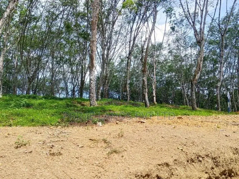Calm Lands Plots in Near Ahangama